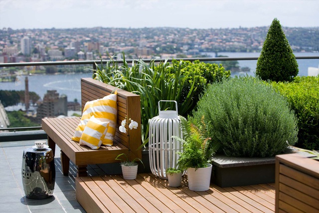 Những thiết kế vườn trên sân thượng vừa đẹp, vừa dễ làm, rất phù hợp với nhà phố - Ảnh 8.