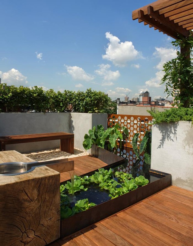 Những thiết kế vườn trên sân thượng vừa đẹp, vừa dễ làm, rất phù hợp với nhà phố - Ảnh 9.