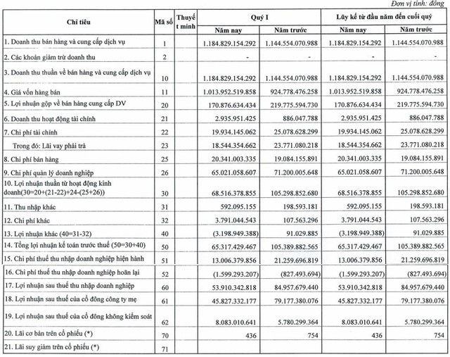 Mỏ Việt Bắc (MVB) báo lãi quý 1 sụt giảm 37% dù doanh thu tăng trưởng - Ảnh 1.