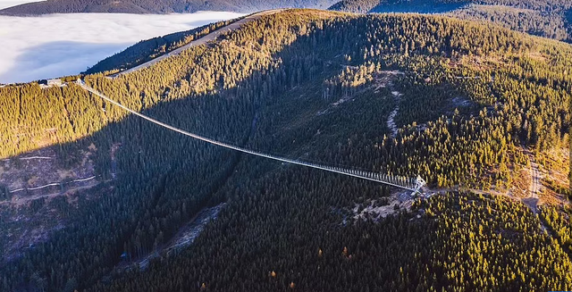 Mục sở thị cây cầu treo dài nhất thế giới bắc qua thung lũng sâu - Ảnh 2.