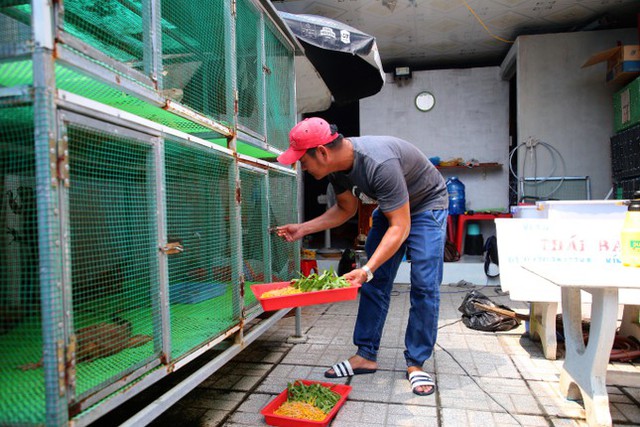 Bỏ việc văn phòng, chàng trai nuôi thú cưng độc lạ ở miền Tây thu trăm triệu mỗi năm - Ảnh 13.