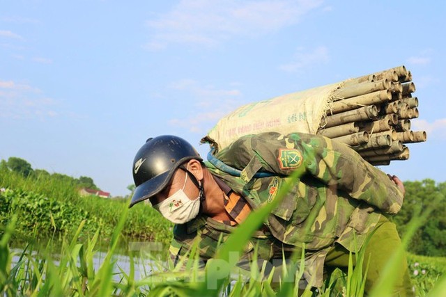  Đặt ống bắt lươn đồng, nông dân kiếm nửa triệu mỗi ngày  - Ảnh 7.