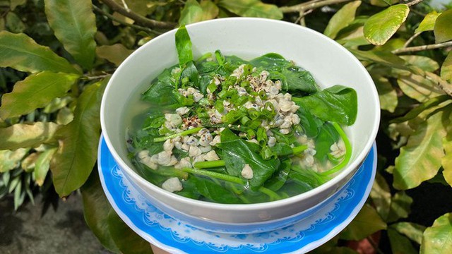 Người Việt ăn canh rau mồng tơi vào mùa hè cần nhớ: 3 điều cấm kỵ, 5 đối tượng không nên ăn, ai biết rồi cần tránh kẻo mang hại sức khỏe - Ảnh 2.