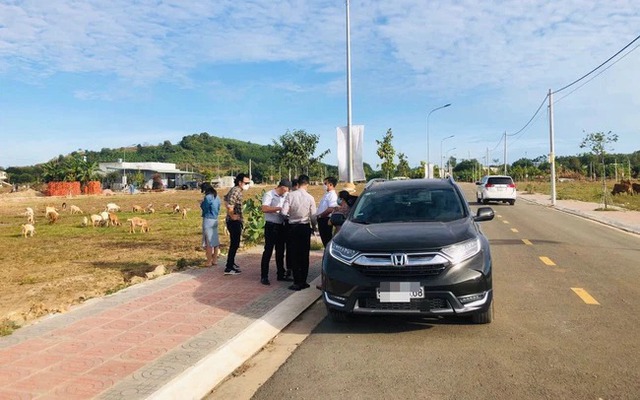 Chuyên gia chỉ ra những kẽ hở Luật Nhà ở, Luật Kinh doanh bất động sản khiến thị trường tồn tại nhiều hạn chế