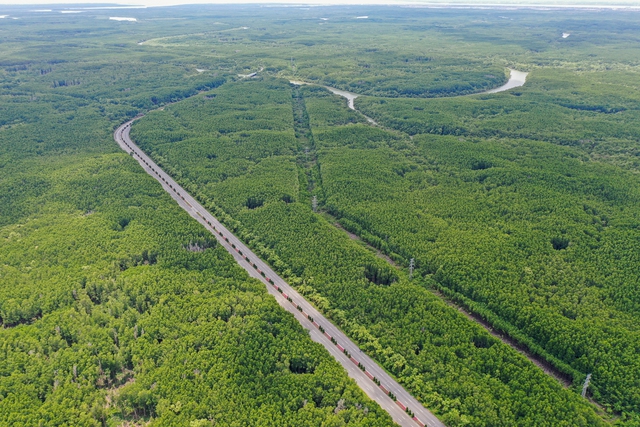  Con đường 1.400 tỷ xuyên rừng ngập mặn, đẹp quên lối về ở TP.HCM - Ảnh 9.