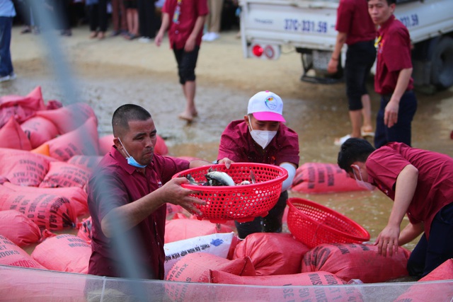  Ảnh: Hàng trăm phật tử và người dân xuống sông Lam phóng sinh 12 tấn cá - Ảnh 11.
