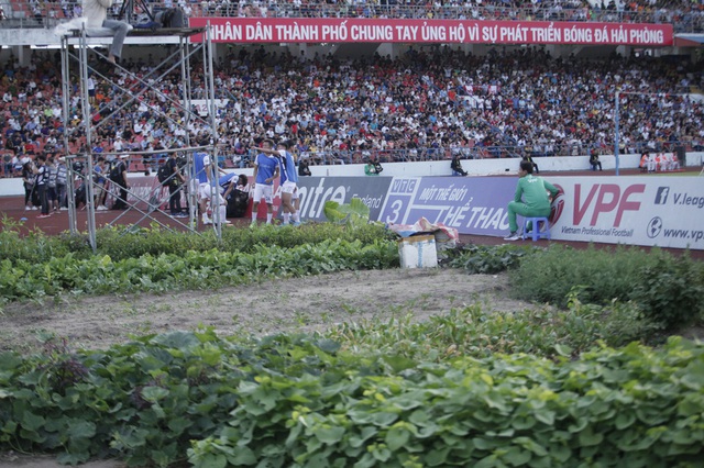  SVĐ trồng rau của Việt Nam được trao quyền tổ chức SEA Games, CĐV ĐNÁ nhìn mà ngỡ ngàng - Ảnh 2.