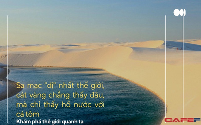 Sa mạc "DỊ NHẤT THẾ GIỚI": Cồn cát vàng thì chẳng thấy đâu mà chỉ thấy hồ nước với tôm cá