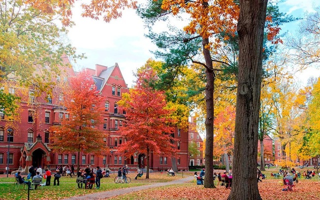 Mẹ mù chữ đưa con vào Harvard, mẹ công nhân đưa con vào Bắc Đại: Không ép uổng, không cần học thêm, con vẫn đỗ trường ĐH hàng đầu thế giới nhờ cách dạy con cực đơn giản - Ảnh 2.