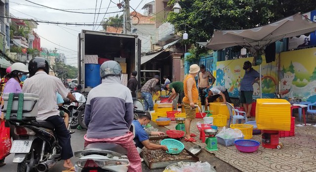 Ghẹ biển tăng giá chưa từng thấy, hải sản hút hàng  - Ảnh 1.