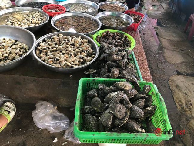 Chợ hải sản Đà Nẵng tấp nập khách, giá rẻ bất ngờ dịp lễ - Ảnh 3.