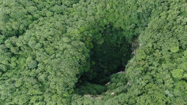 Nghề nguy hiểm: Thu thập hạt giống trên núi cao 5.000m hay hố sâu dưới lòng đất với những rủi ro không ai ngờ - Ảnh 7.