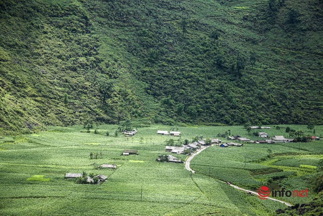 Du lịch Hà Giang chuyển mình, du khách đắm chìm trước cảnh đẹp mê hồn của vùng cao nguyên đá - Ảnh 9.