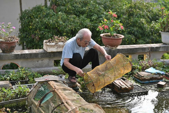 Cụ ông 87 tuổi chịu chơi mang cả cái ao đặt trên mái nhà rồi trồng rau nuôi cá: Nhiều người nói tôi liều lĩnh - Ảnh 4.