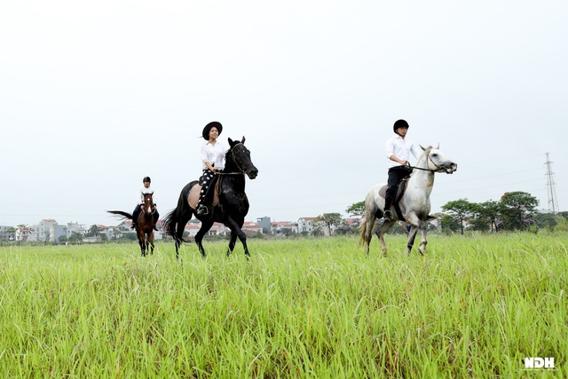 Người Hà Nội chi tiền triệu học cưỡi ngựa phong cách châu Âu - Ảnh 2.