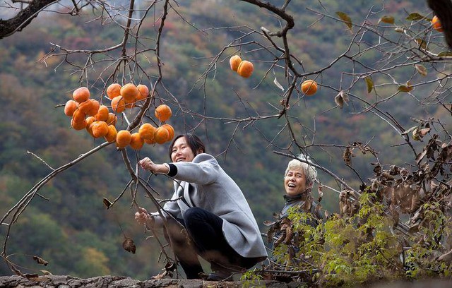 Loại quả tốt ngang 10 thang thuốc: Giúp sạch ruột, xóa nếp nhăn nhưng có 4 nhóm người không nên ăn - Ảnh 4.