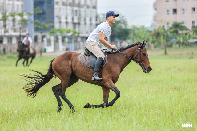 Người Hà Nội chi tiền triệu học cưỡi ngựa phong cách châu Âu - Ảnh 8.