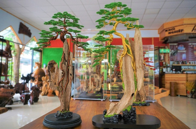 Kỹ sư bỏ việc nghìn đô, về làm bonsai bất tử bán cho đại gia: Doanh thu hơn 100 triệu đồng/ tháng - Ảnh 2.