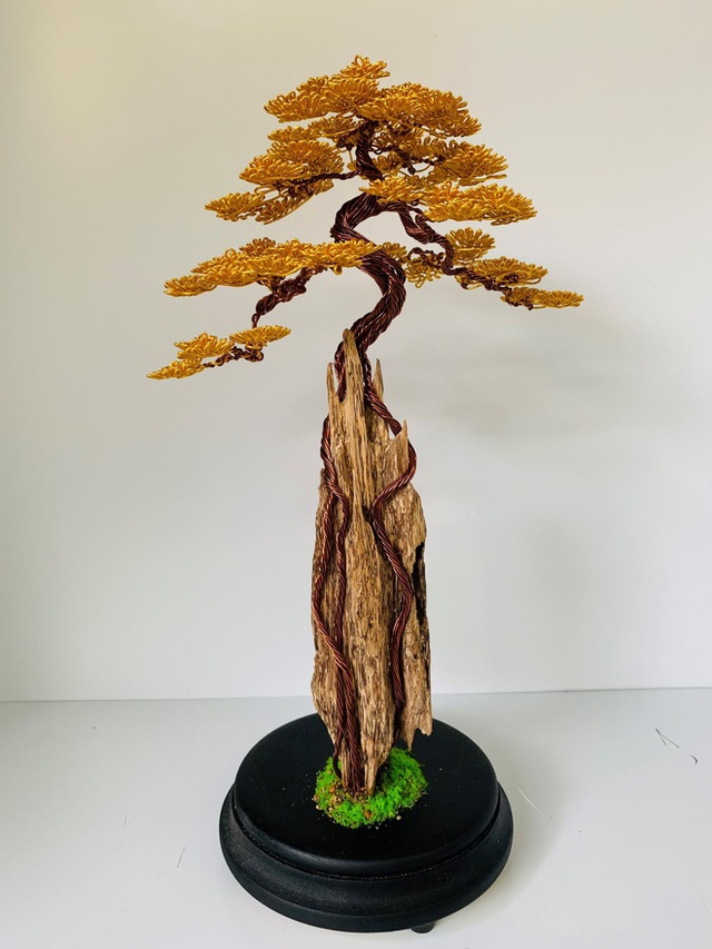 Kỹ sư bỏ việc nghìn đô, về làm bonsai bất tử bán cho đại gia: Doanh thu hơn 100 triệu đồng/ tháng - Ảnh 13.