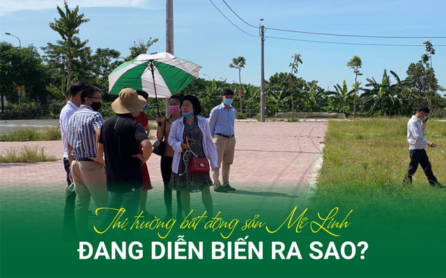 Sóng đấu giá bất động sản đổ về Mê Linh, thị trường khu vực đang diễn biến ra sao?