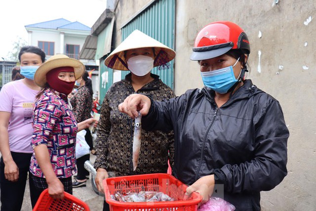 Dong thuyền câu mực xuyên đêm, ngư dân kiếm tiền triệu mỗi ngày - Ảnh 12.