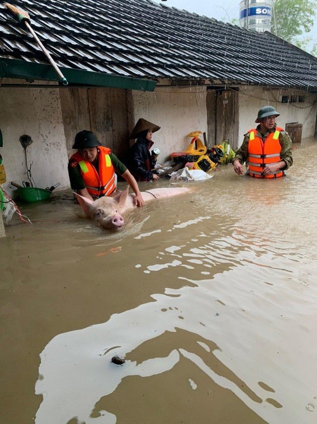  Nhiều khu vực ở Vĩnh Phúc ngập sâu sau trận mưa lớn, công an căng mình đẩy ô tô khỏi biển nước  - Ảnh 6.