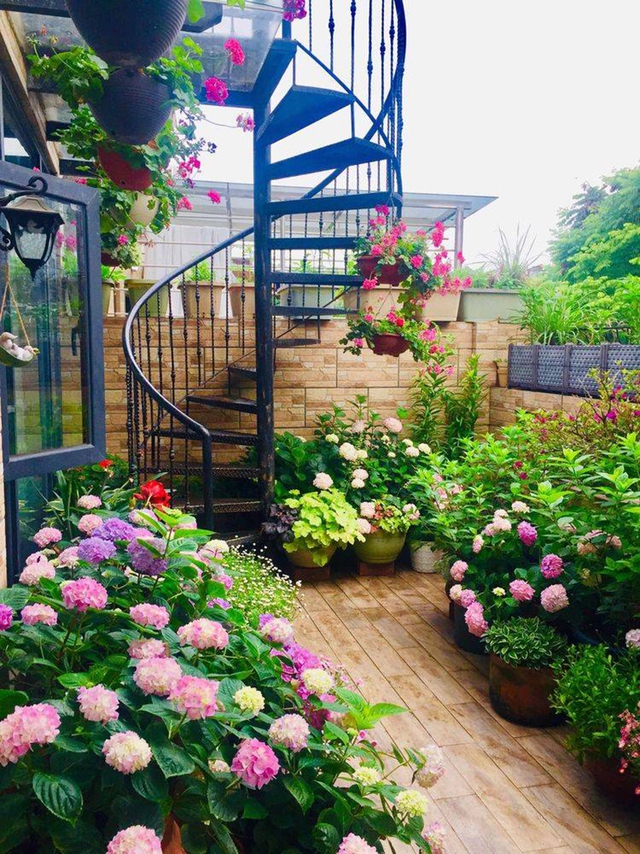 Khu vườn sân thượng độc đáo với tầng trên là hoa hồng rực rỡ, tầng dưới muôn hoa đua nở 4 mùa - Ảnh 19.