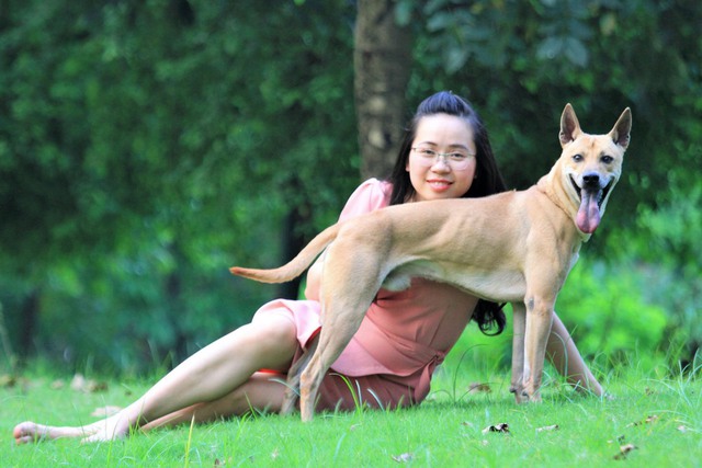 Cô dược sĩ đam mê nuôi chó Phú Quốc, sở hữu ba khuyển vương trị giá một tỷ đồng - Ảnh 8.