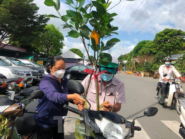  Chanh leo ngọt cả trăm nghìn đồng/kg vẫn cháy hàng  - Ảnh 3.