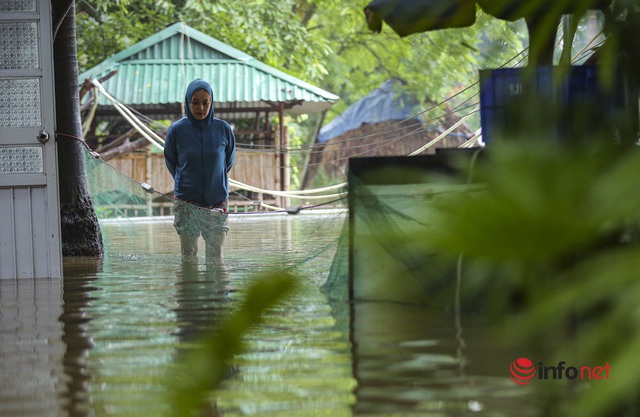 Nước sông lên cao, hàng chục nhà dân ngoại ô Hà Nội chìm trong biển nước - Ảnh 9.