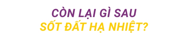 Thị trường bất động sản còn lại những gì sau sốt đất “hạ nhiệt”? - Ảnh 5.