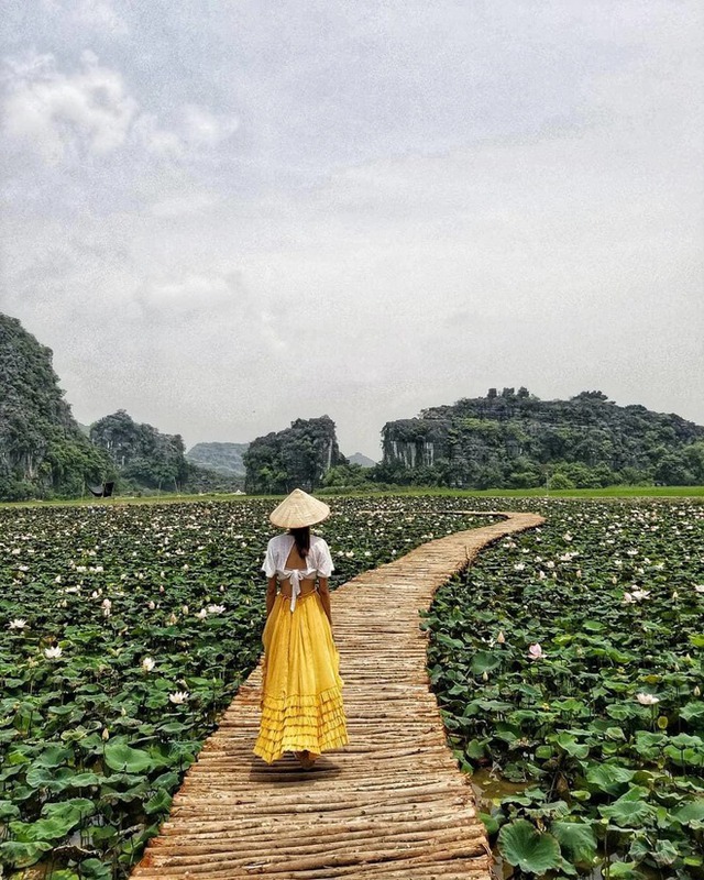 Đừng bỏ lỡ mùa sen đẹp nhất Ninh Bình: Góc nào đứng vào cũng ngút ngàn! - Ảnh 18.