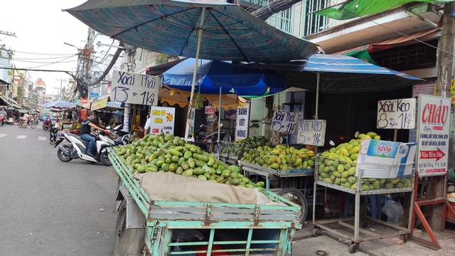  Chủ vựa xoài còn thê thảm hơn nông dân, lợi nhuận giảm đến gần 92%  - Ảnh 1.