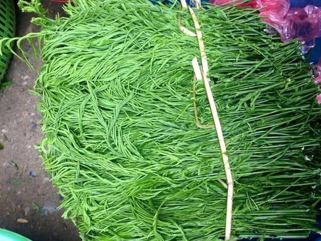 Việt Nam có 4 loại rau giá đắt hơn cả thịt cá, muốn ăn cũng chưa chắc đã có để mua  - Ảnh 11.