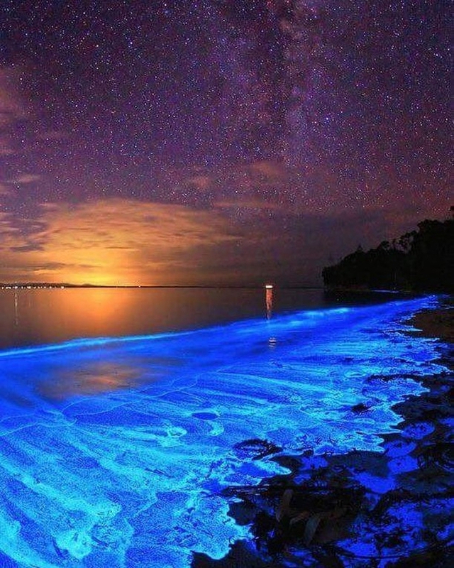 Giữa thiên đường Maldives tồn tại một bãi biển huyền ảo đến vô thực, được ví như dải Ngân hà - Ảnh 3.