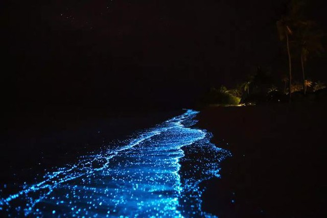 Giữa thiên đường Maldives tồn tại một bãi biển huyền ảo đến vô thực, được ví như dải Ngân hà - Ảnh 5.