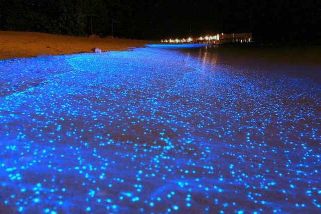 Giữa thiên đường Maldives tồn tại một bãi biển huyền ảo đến vô thực, được ví như dải Ngân hà - Ảnh 8.