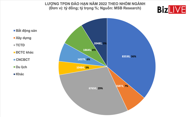 Chi tiết phép thử đáo hạn trái phiếu doanh nghiệp 2022 - Ảnh 1.