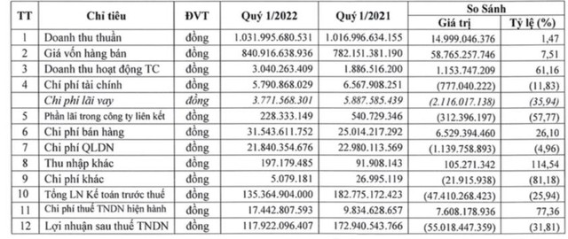 Đông Hải Bến Tre (DHC): Quý 1 lãi 118 tỷ đồng giảm 32% so với cùng kỳ - Ảnh 1.