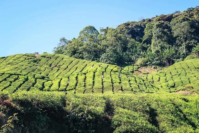 10 điểm đến du lịch đẹp như mơ ngay tại Đông Nam Á: Đắm mình trong thiên nhiên thoáng đãng, đã đặt chân đến là không muốn về - Ảnh 3.