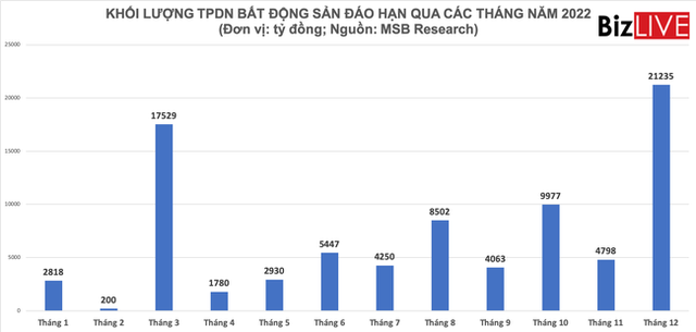 Chi tiết phép thử đáo hạn trái phiếu doanh nghiệp 2022 - Ảnh 4.