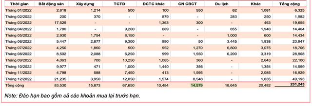 Chi tiết phép thử đáo hạn trái phiếu doanh nghiệp 2022 - Ảnh 5.