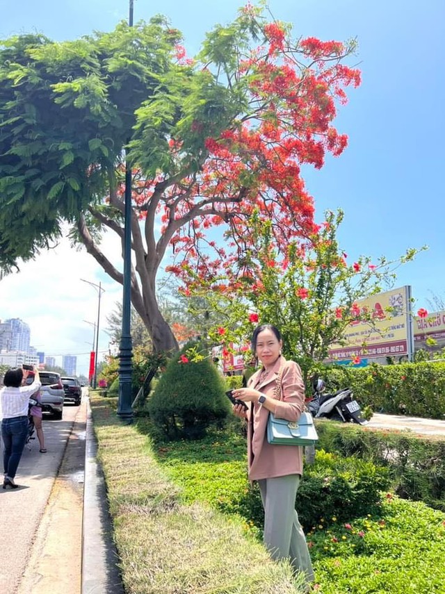 Người dân thích thú đến check-in cây phượng độc lạ ở Vũng Tàu, đến cây còn có hai lòng - Ảnh 5.