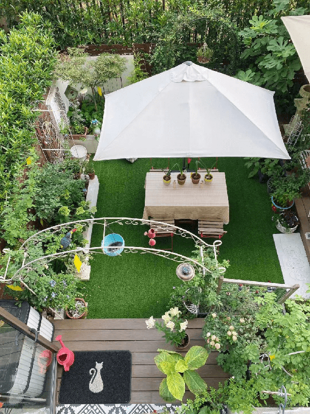 Cặp vợ chồng chi gần 200 triệu cải tạo sân vườn rộng 40m², nhìn vào thành quả mới thấy hoàn toàn đáng giá - Ảnh 28. Cặp vợ chồng chi gần 200 triệu cải tạo sân vườn rộng 40m², nhìn vào thành quả mới thấy hoàn toàn đáng giá - Ảnh 28.