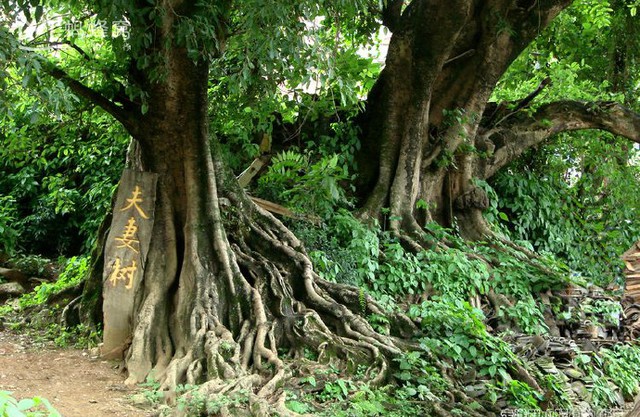 Khám phá ngôi làng cổ biệt lập chỉ có thể ra vào bằng thuyền, cảnh đẹp như phiên bản thực của chốn bồng lai tiên cảnh! - Ảnh 14.