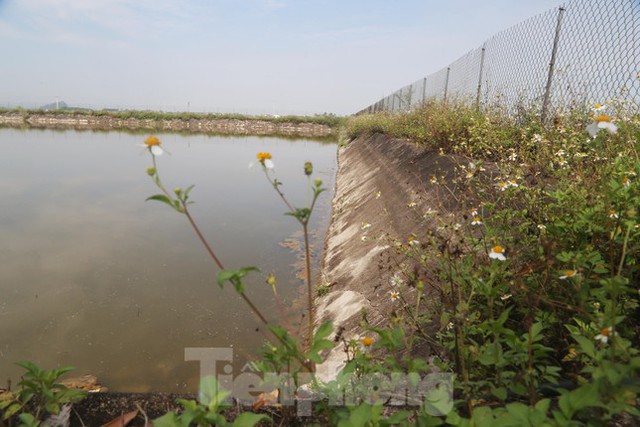  Nhà máy nước gần 20 tỷ đồng ở Nghệ An bị bỏ hoang, cỏ dại um tùm  - Ảnh 4.