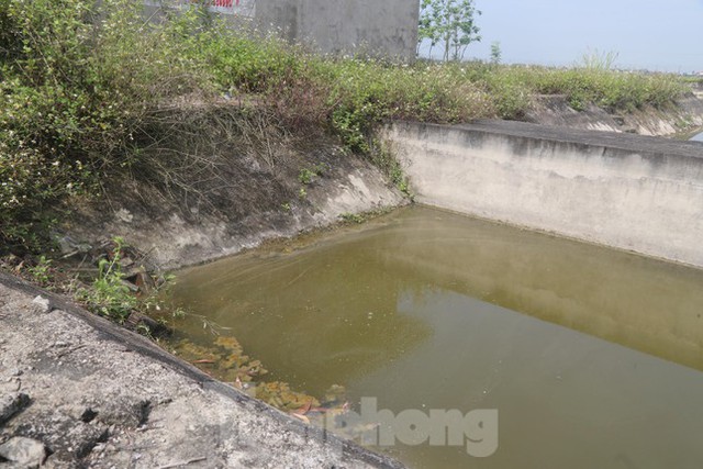 Nhà máy nước gần 20 tỷ đồng ở Nghệ An bị bỏ hoang, cỏ dại um tùm  - Ảnh 6.