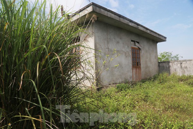  Nhà máy nước gần 20 tỷ đồng ở Nghệ An bị bỏ hoang, cỏ dại um tùm  - Ảnh 8.