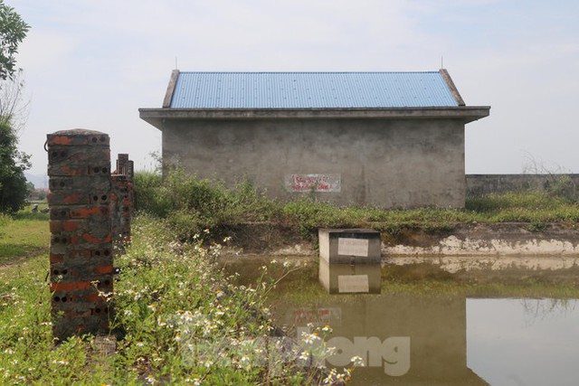  Nhà máy nước gần 20 tỷ đồng ở Nghệ An bị bỏ hoang, cỏ dại um tùm  - Ảnh 10.