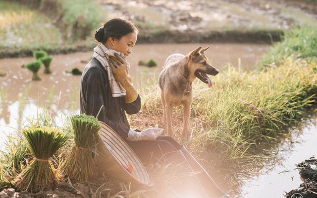 Tâm thư học sinh nghèo gửi mẹ gây bão MXH: "Tôi có một người mẹ ở nhà, mẹ không có ước mơ nhưng..."